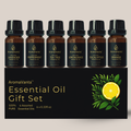AromaVanta Essential Oils Gift Set – 6 Pure Aromatherapy Oils (10ml)